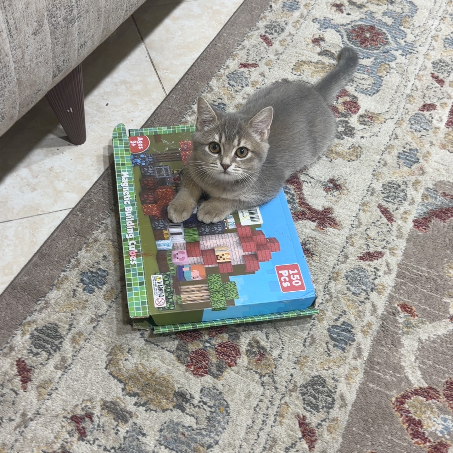 دودو