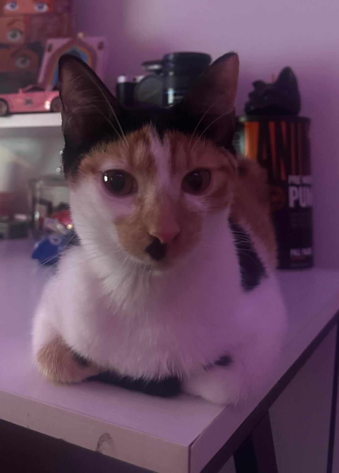 MOKA