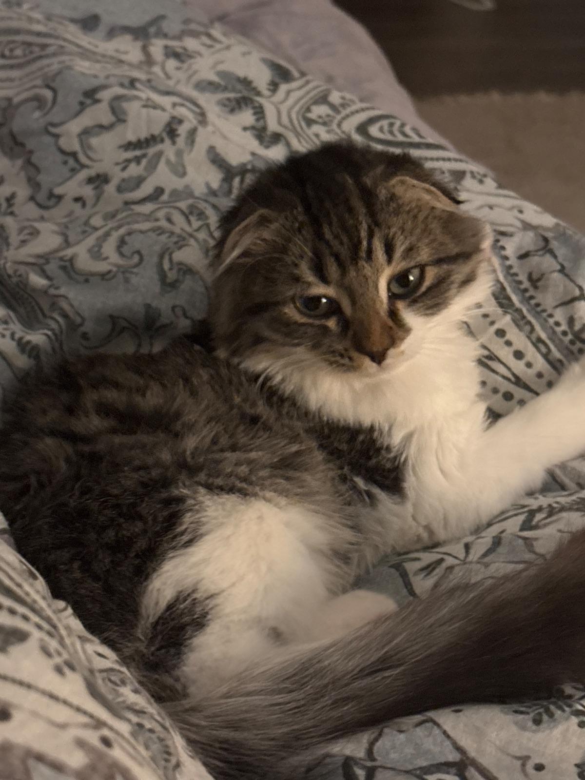 Luna