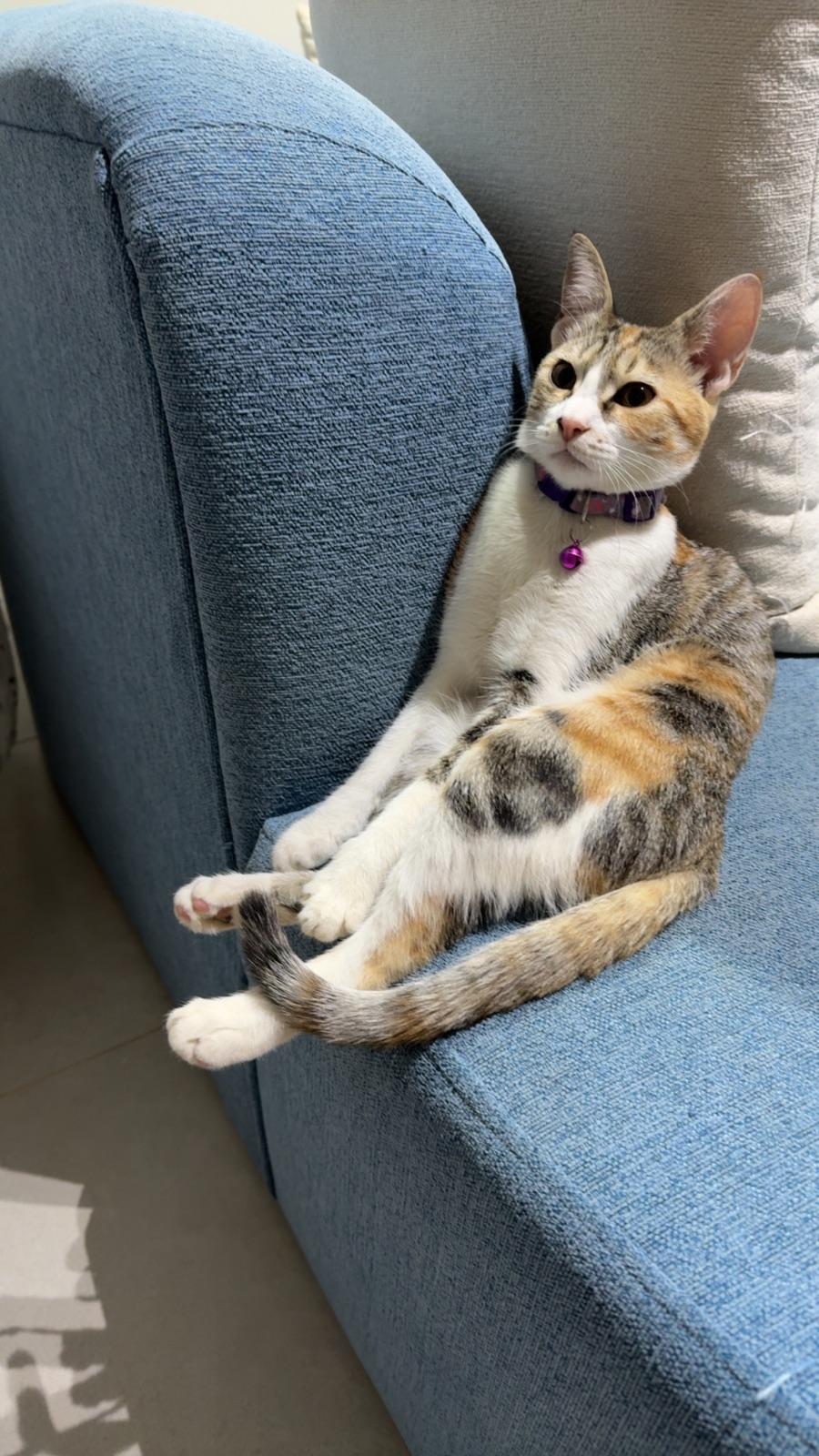 Lucy