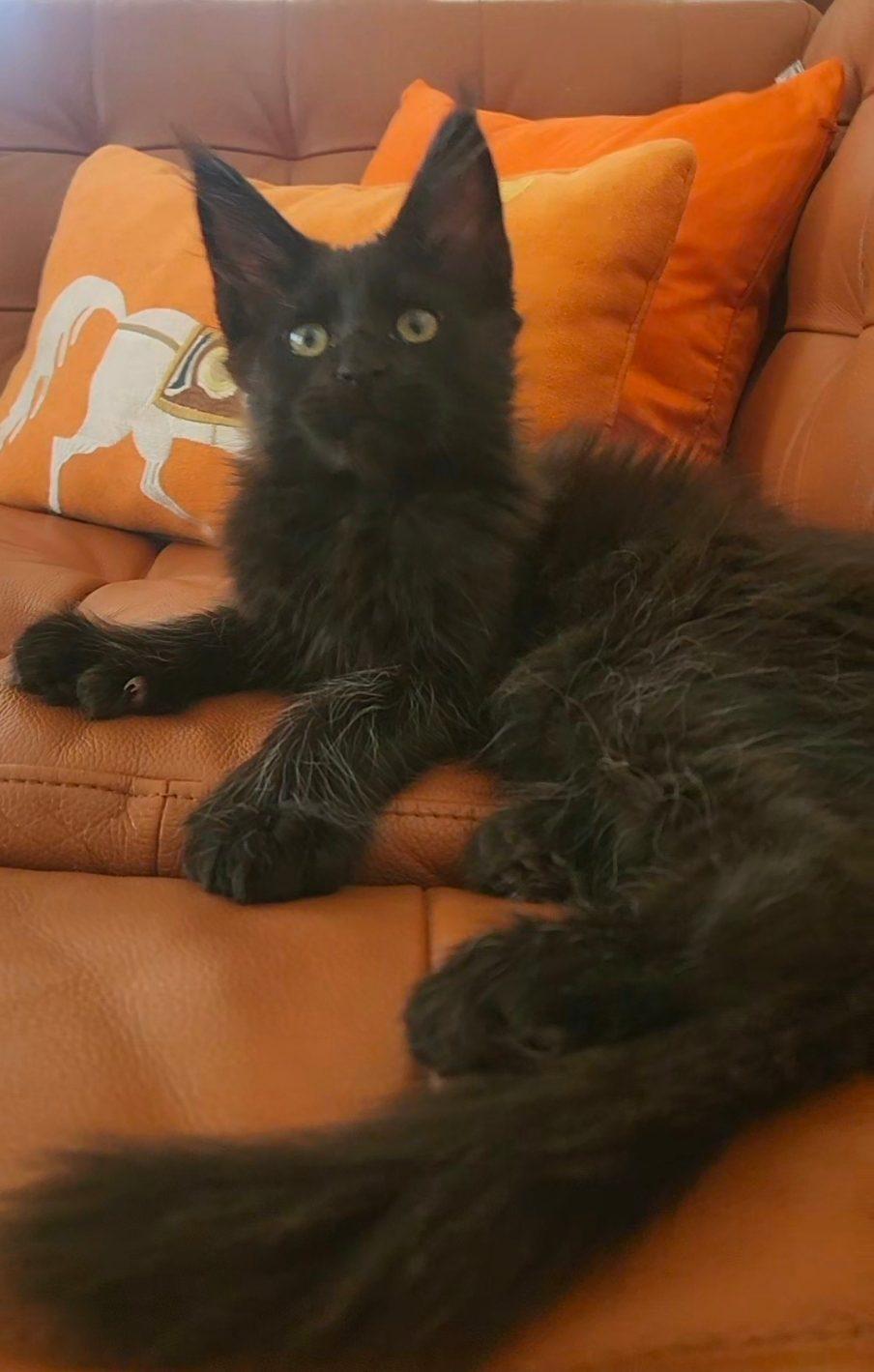 Tiago
