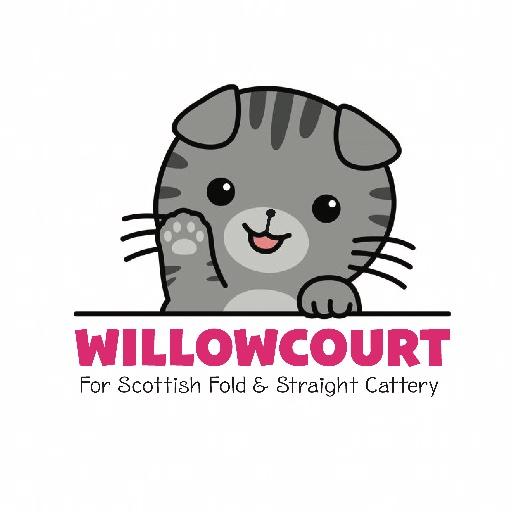 Willowcourt Cattery 🏡🐾